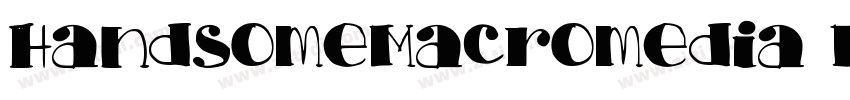 HandsomeMacromedia F字体转换